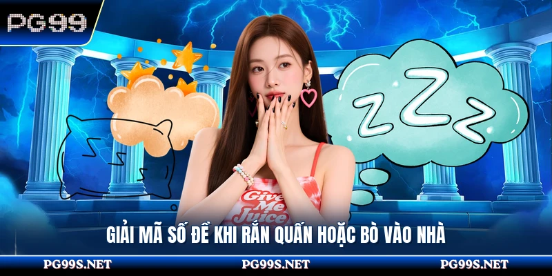 Giải mã số đề khi rắn quấn hoặc bò vào nhà 