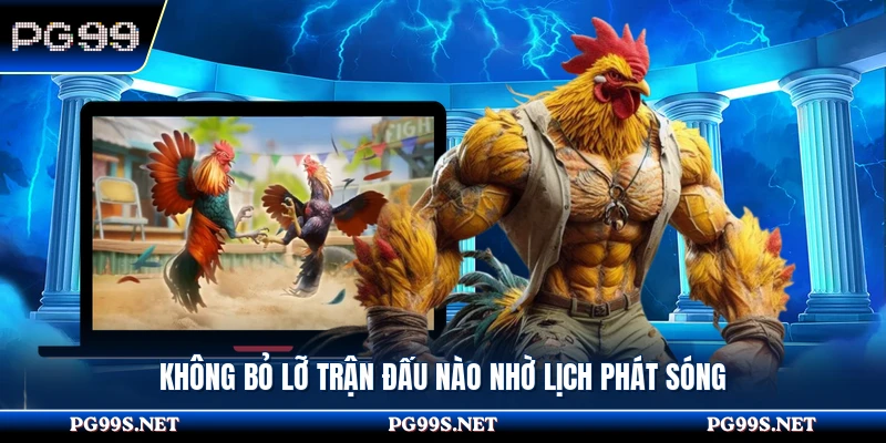 Không bỏ lỡ trận đấu nào nhờ lịch phát sóng