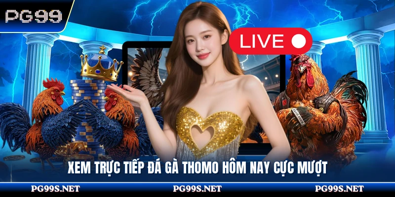 Xem trực tiếp đá gà Thomo hôm nay cực mượt